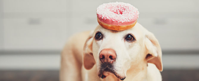 deferred freight service