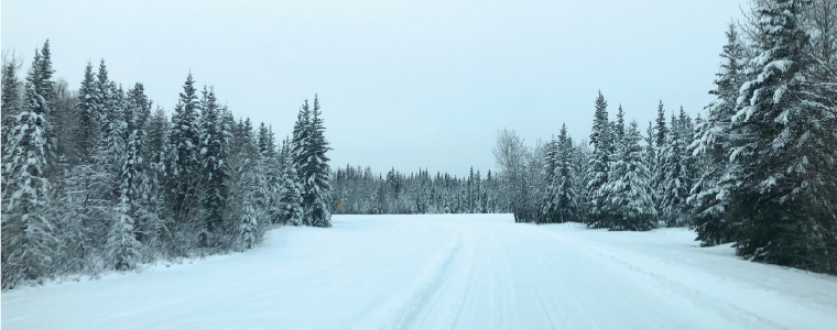 Alaska winter road forest trees woods snow